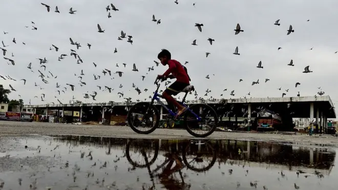 A boy rides his bicycle as a flock of pigeons flies amid cloudy skies after a spell of rain in Jalandhar on July 31, 2025. (Photo by Shammi MEHRA / AFP) (Photo by SHAMMI MEHRA/AFP via Getty Images)