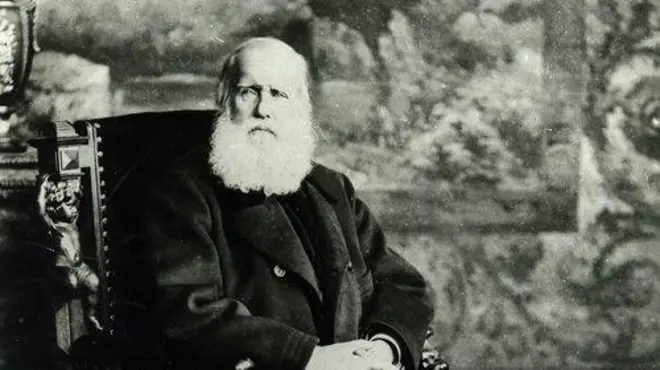 Retrato de D. Pedro 2º