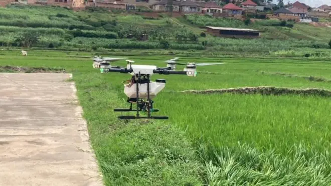 Drone itera umuti mu gishanga cya Rugende i Kigali