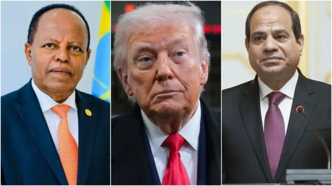 ፕ/ት ታዬ፣ ፕ/ት ትራምፕ እና ፕ/ት አል ሲሲ