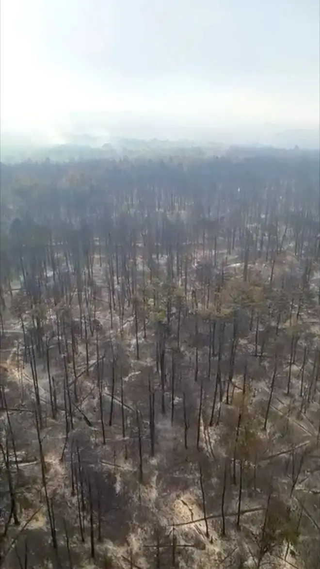 požar u deliblatskoj peščari
