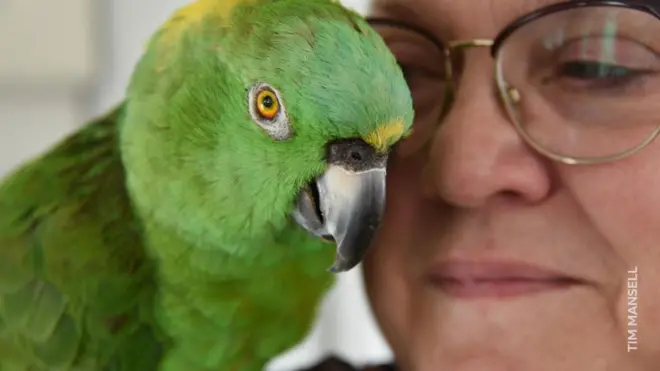 Голова жінки в окулярах і зелений папуга поряд із нею