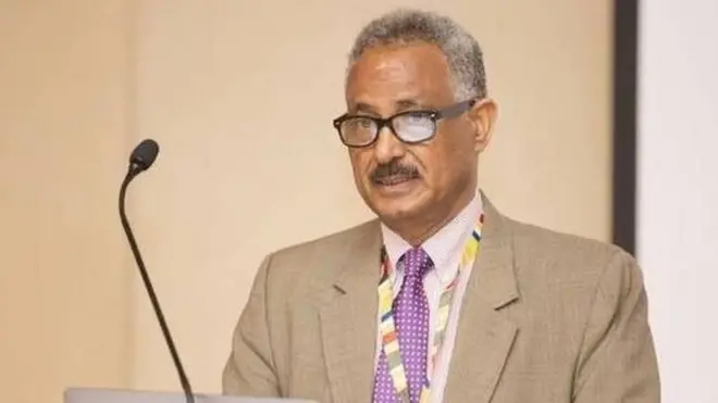 ኣምባሳደር ዓንደብርሃን ወልደጊዮርጊስ