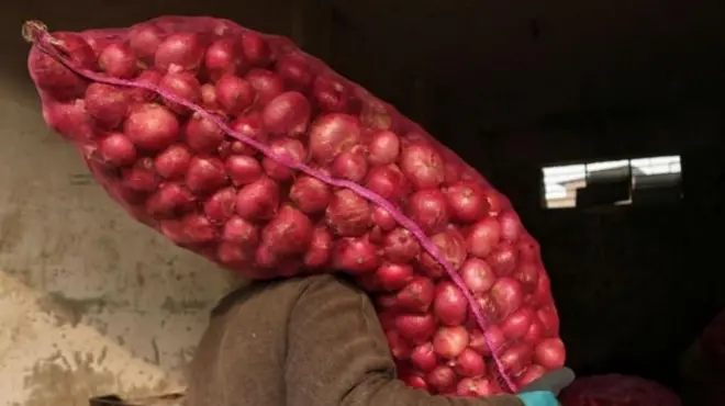 ఉల్లిగడ్డలు