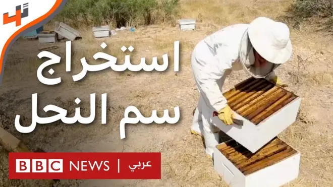 جهاز مبتكر لاستخراج سم النحل لعلاج الحساسية الناتجة عن لسعاته