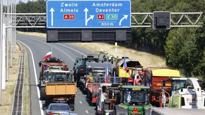 Hollanda çiftçi eylemi