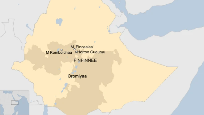 Waraannii humnoota mootummaafi hidhattoota WBO jidduutti gaggeefamaa jiraachu himu