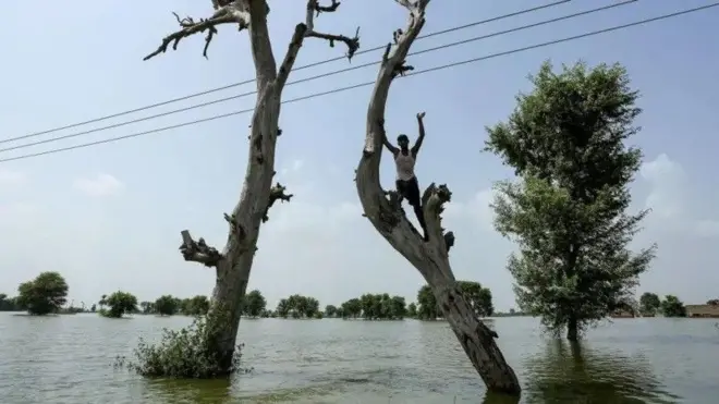 Ilaa 900 oo qof ayaa ku dhintay daadadka ku dhuftay Pakistan