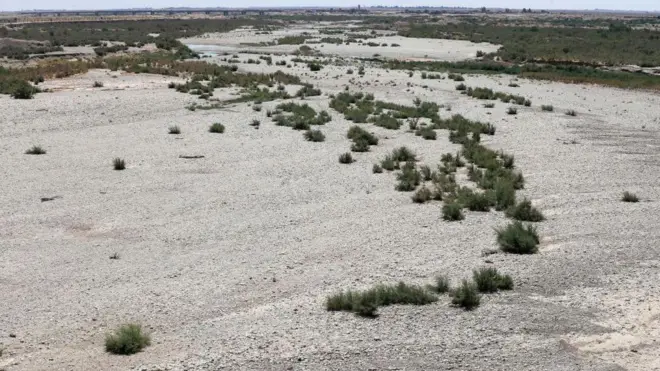 کمبود آب دولت عراق را مجبور کرده سطح زمینهای زیر کشت را کاهش دهد