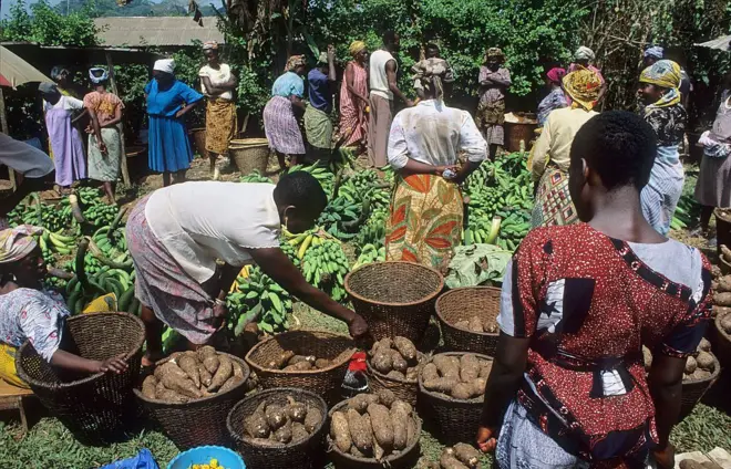 marché de produits locaux au Cameroun