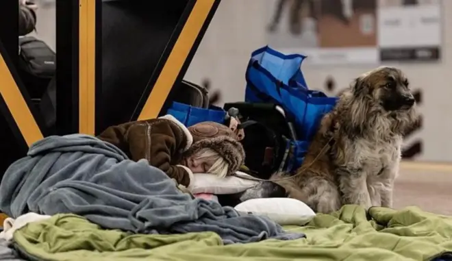 Дівчина спить на підлозі у метро поруч біля собаки
