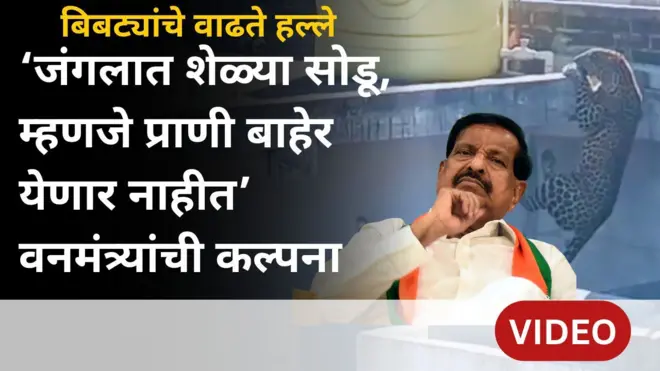 बिबट्याचे हल्ले