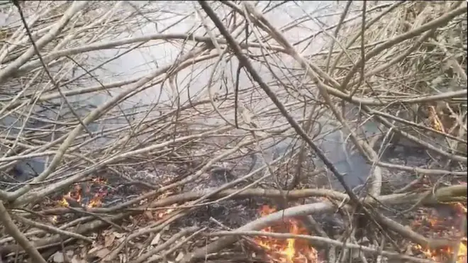 রবিবার সকালের ছবি