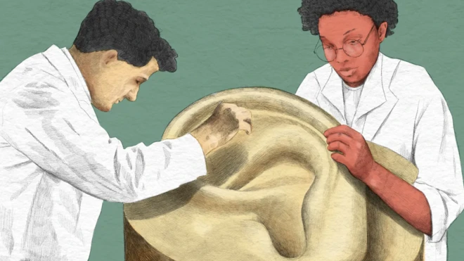 ਕੰਨਾਂ ਦੀ ਮੈਲ਼