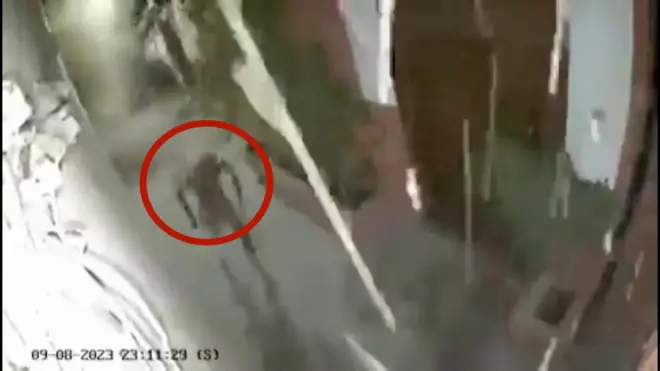 فيديو يظهر رجلاً ينجو بصعوبة انهيار المبنى