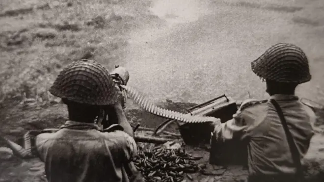 बीएसएफ-1971