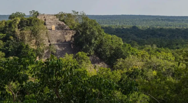 Yapılan keşfe yakın Calakmul isimli kentteki bir piramit