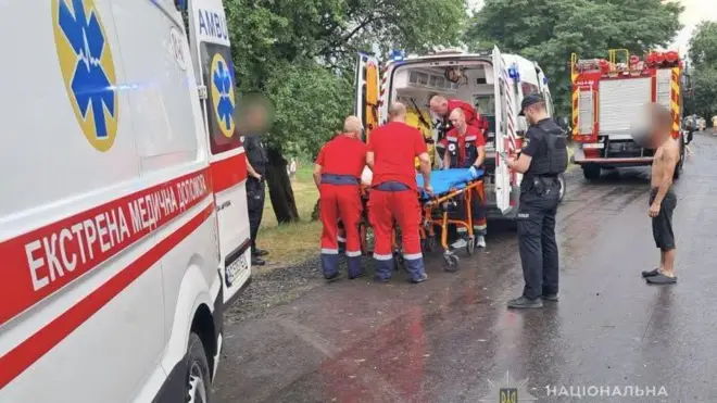 Дерево