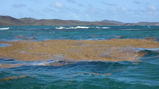 प्रातिनिधिक फोटो