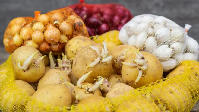 कांदे बटाटे