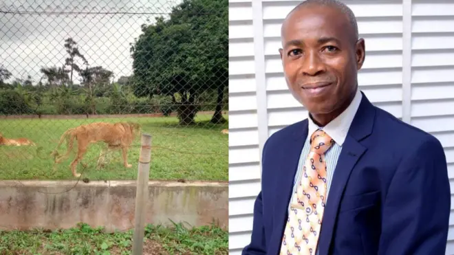 Aworan Kiniun ati Olabode Olawuyi