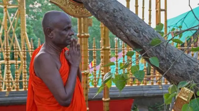 පල්ලේගම හේමරතන හිමි