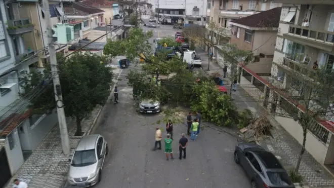 Árvore caída em uma rua de Santos
