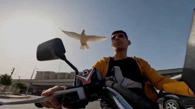 ’Zajednička vožnja': Posebna veza golubice i Egipćanina