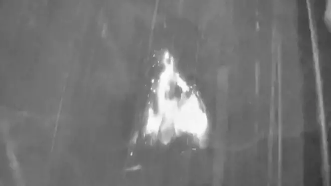 Erupcija vulkana snimljena termalnom kamerom