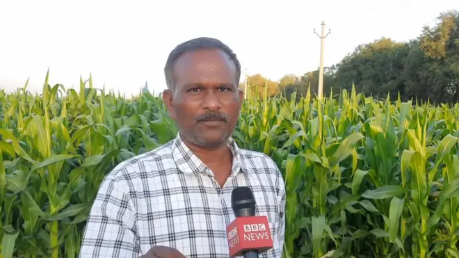 పెద్దిరెడ్డి, తాడిపత్రి వ్యవసాయ సలహా మండల చైర్మన్