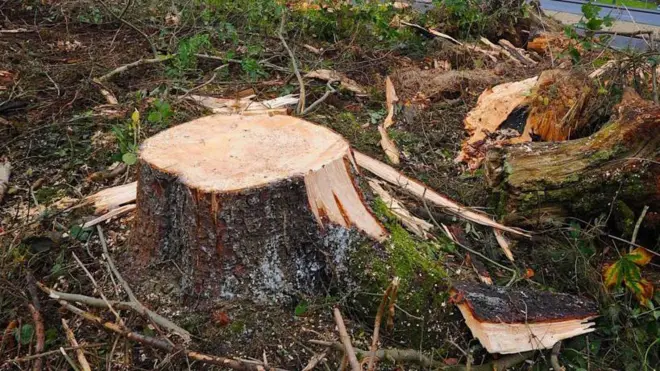 प्रातिनिधिक छायाचित्र