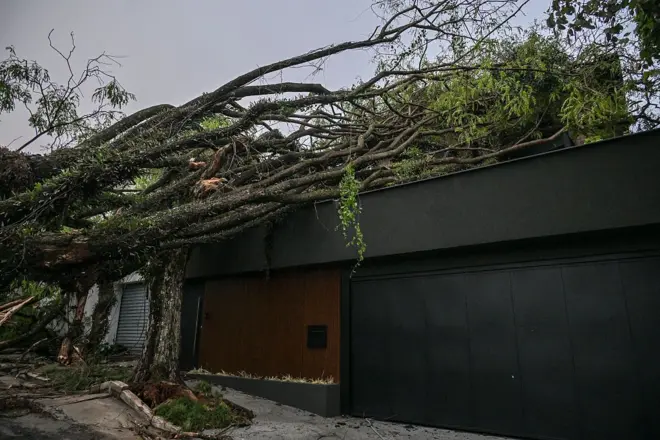 Casa atingida por árvore após fortes chuvas em São Paulo, em 23 de setembro de 2025.