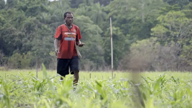 Jagung, Polri, Papua