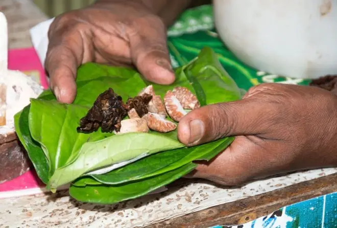 බුලත් යනු සිංහල සංස්කෘතිය සමග ඈත අතීතයේ සිට අත්යන්ත බැඳීමක් සහිත ශාකයක් වන අතර ශ්රී ලංකාවේ දේශපාලනය කෙරෙහි ද බුලත්වලින් බලපෑම් සිදුවූ අවස්ථා මෑත ඉතිහාසයේ පවා දැකිය හැකි ය.