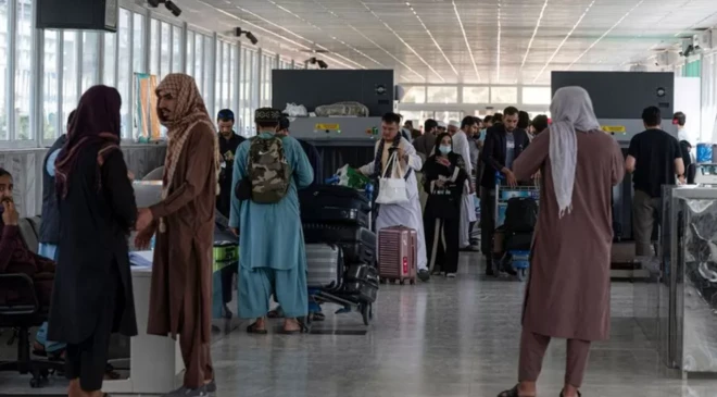 तालिबान 