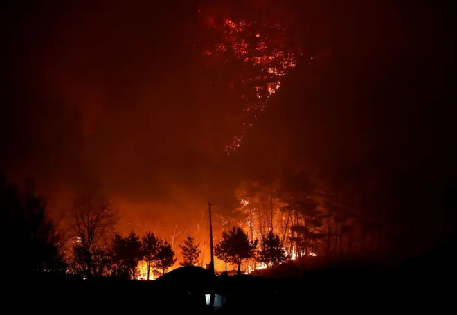 25일 경북 안동시 남후면 광음리 인근 뒷산에 산불이 확산하고 있다