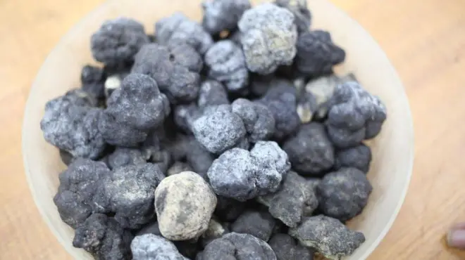 సముద్రాన్వేషణ