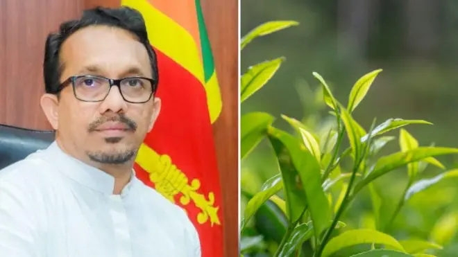 ශ්රී ලංකාවේ තේවලට නොබෙල් ත්යාගය හිමි වූ බව අමාත්ය සුනිල් හඳුන්නෙත්ති මාධ්යවේදීන් හමුවේ පැවසීය