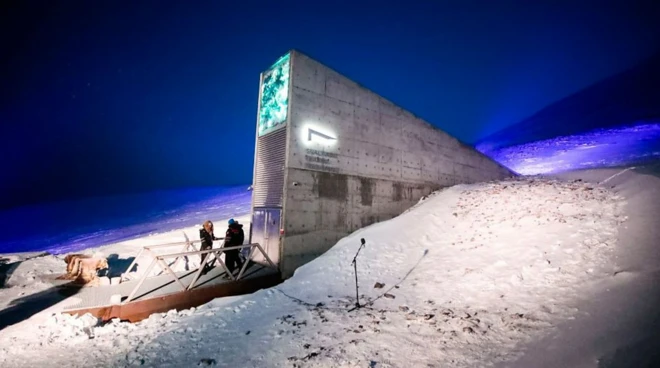 Baqaarka iniinaha ee Norway