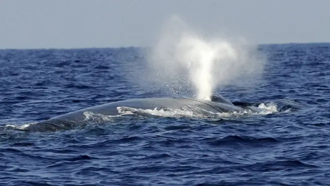 प्रतीकात्मक तस्वीर