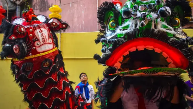 Chinese lions in Kolkata