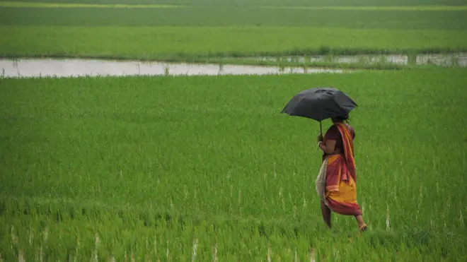 मान्सून