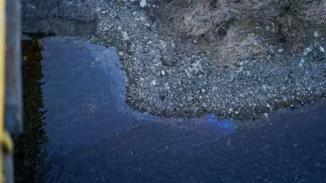 Берег реки с галькой и сухой растительностью. На поверхности воды заметен радужный след, похожий на плёнку от загрязнения (вероятно нефтяного происхождения).
