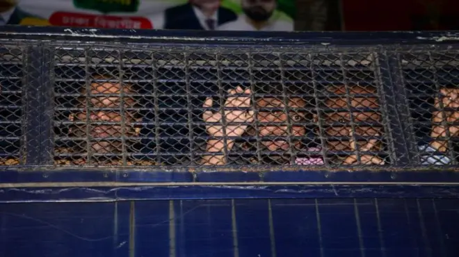 প্রিজন ভ্যান-প্রতীকী ছবি