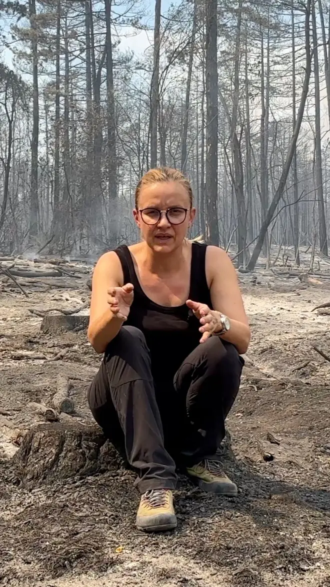 BBC u Deliblatskoj peščari: Očajni meštani i izgorele šume