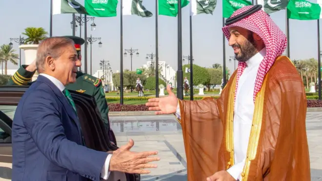 شہباز شریف، سلمان