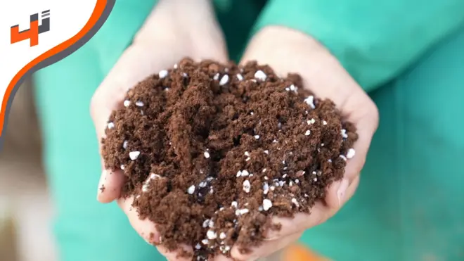 تربة تقاوم الجفاف في العراق