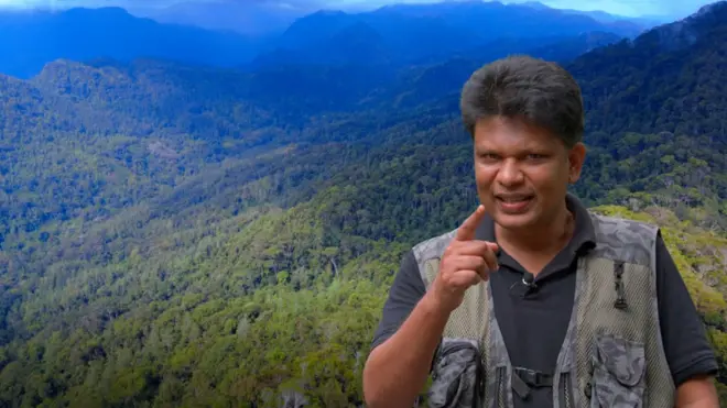 සිංහරාජයේ වැදගත්කම සහ සැඟවුණු රහස් සොයා BBC ය ගිය ගමනක තොරතුරු මේ වීඩියෝවේ අන්තර්ගත වේ.