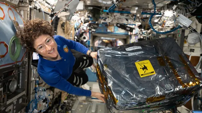 کرسٹینا کُک