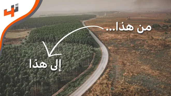 حملة لإعادة تأهيل الغابات والبحور حول العالم